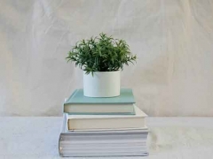 ���������տ��Ļ��θ��������/