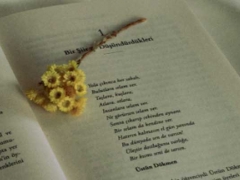 ���������տ��Ļ��μ�ѵ��ô��/