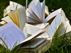 �������������տ��Ļ��μ�ѵ����/