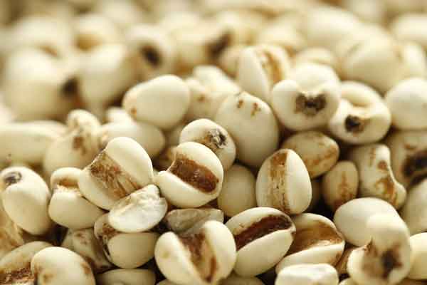 �㰲��ҽר��ҽʦ������ѵ���ļҺã�