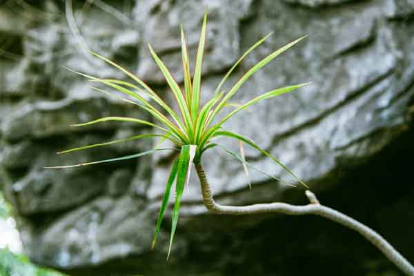 ������ҽר��ҽʦ������ѵ���ļҺã�