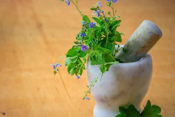 ������ҽר��ҽʦ������ѵ���ļҺã�