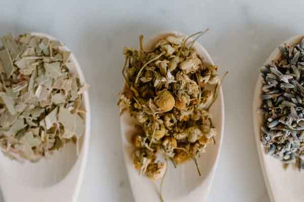 �ຣ��ҽר��ҽʦ������ѵ���ļҺã�