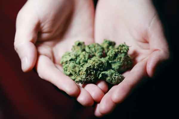 �½���ҽר��ҽʦ������ѵ���ļҺã�