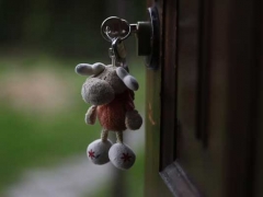 ������ҵ����ʦ֤�������ﱨ������/