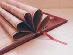 ����������ѧϰ������ô���������ѧ��/