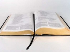 ���˸�����ѧϰ������ô���������ѧ��/