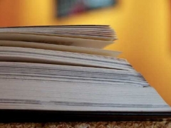 ����������ѧϰ������ô���������ѧ��/