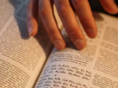 ɽ��������ѧϰ������ô���������ѧ��/