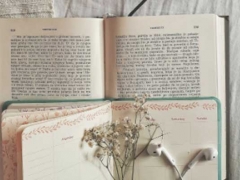 ���ϸ�����ѧϰ������ô���������ѧ��/