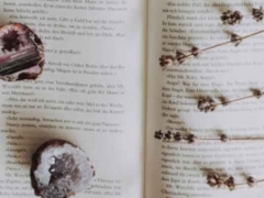 2024����ô���ѧ������ѧ������������һ��/