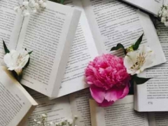 2024���й������ѧ������ѧ������������һ��/